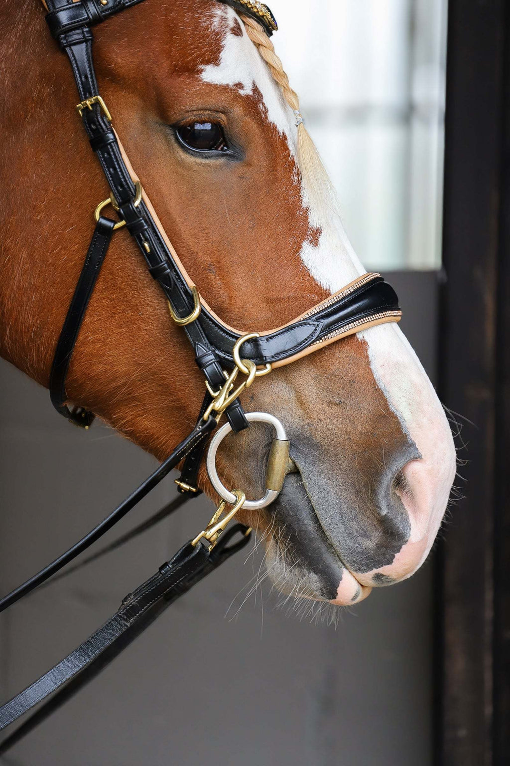 Spiritandhiscrew X MASEGO Multi bridle, bit to bitless system no.2
