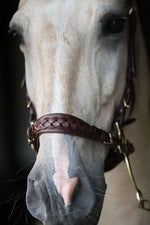 Load image into Gallery viewer, ❤️ Zoe hackamore Bridle
