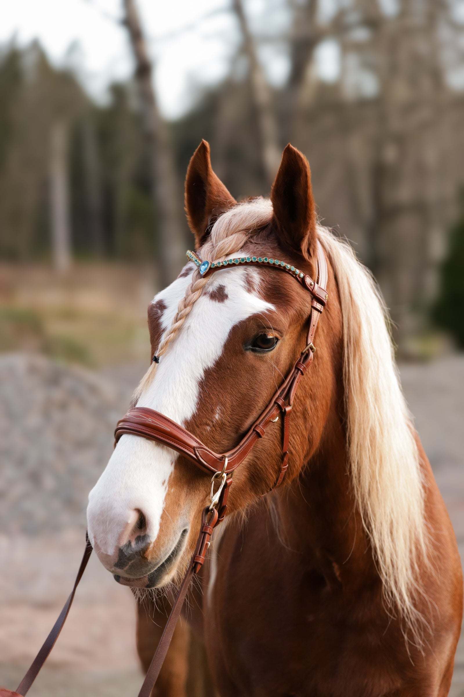 Oliander Multi Bridle - MASEGO bit to bitless system