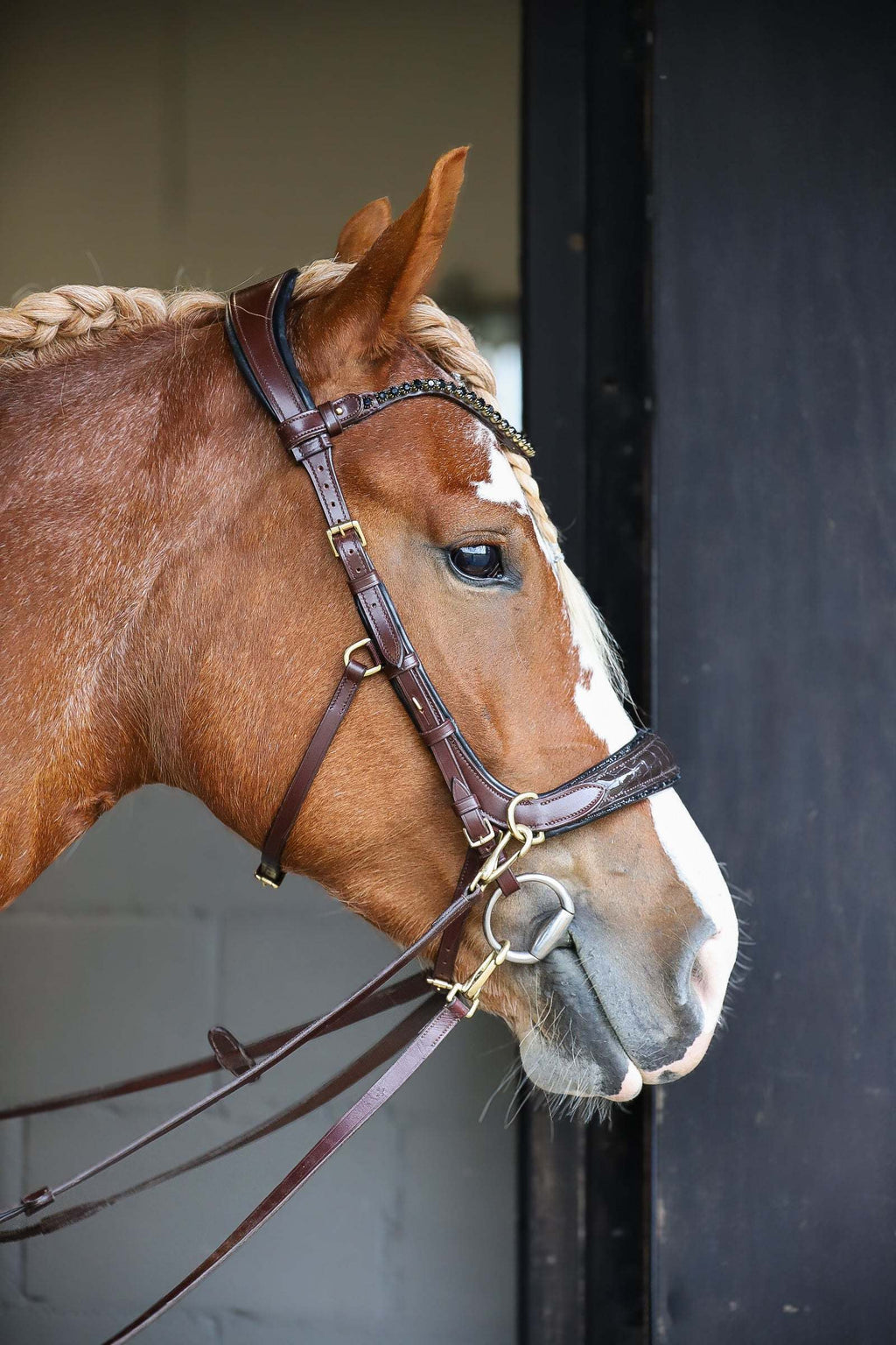 Nia Multi Bridle - Bit to bitless system no.1