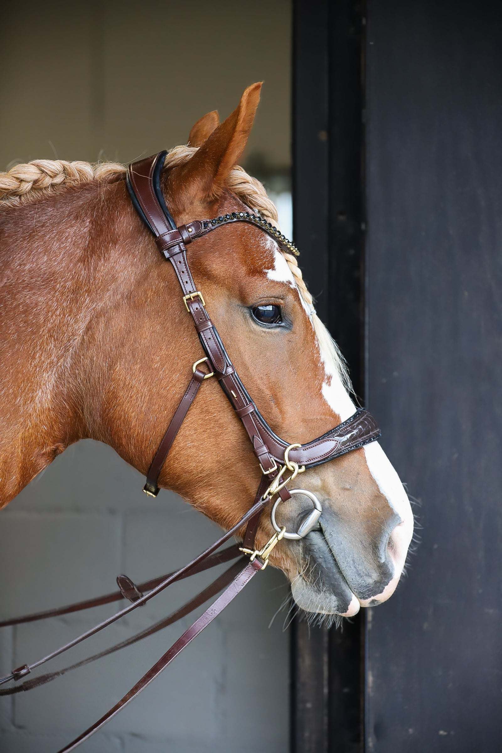 Nia Multi Bridle - Bit to bitless system no.1