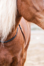 Load image into Gallery viewer, Onyx neckrope
