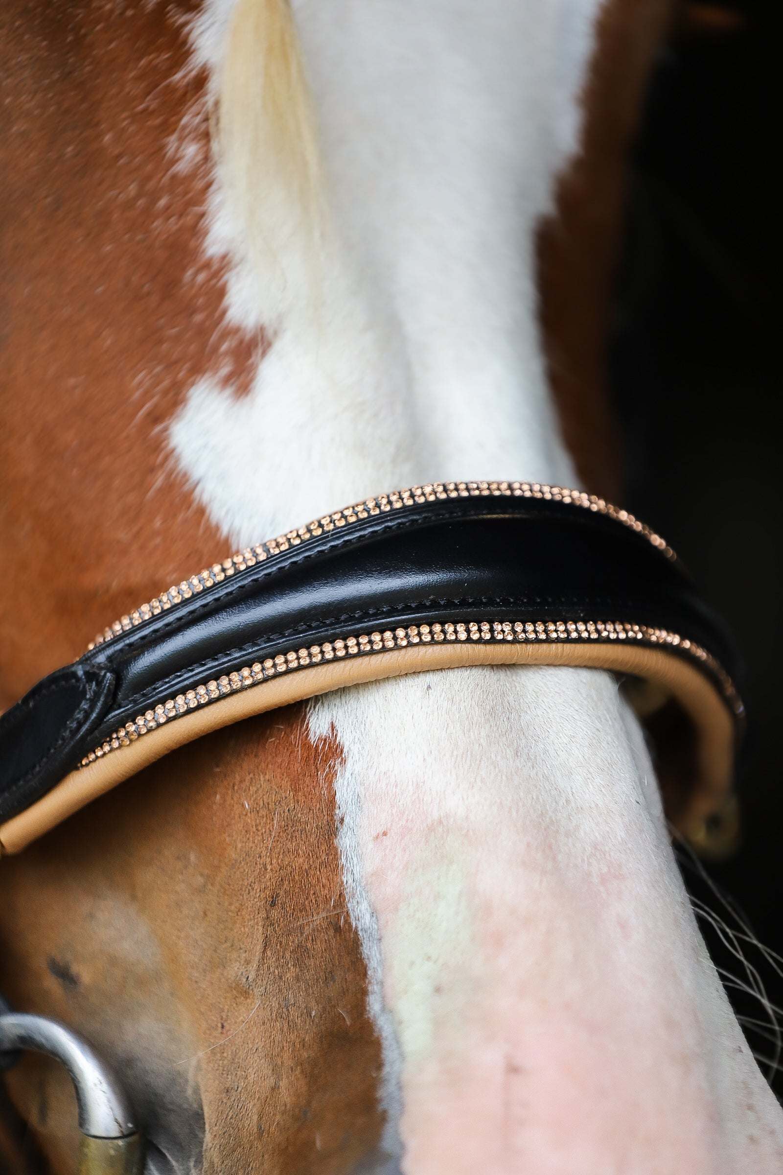 Spiritandhiscrew X MASEGO Multi bridle, bit to bitless system no.2