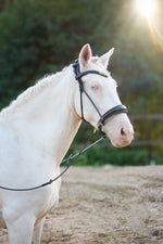 Load image into Gallery viewer, ❤️ Dova sparkling sidepull
