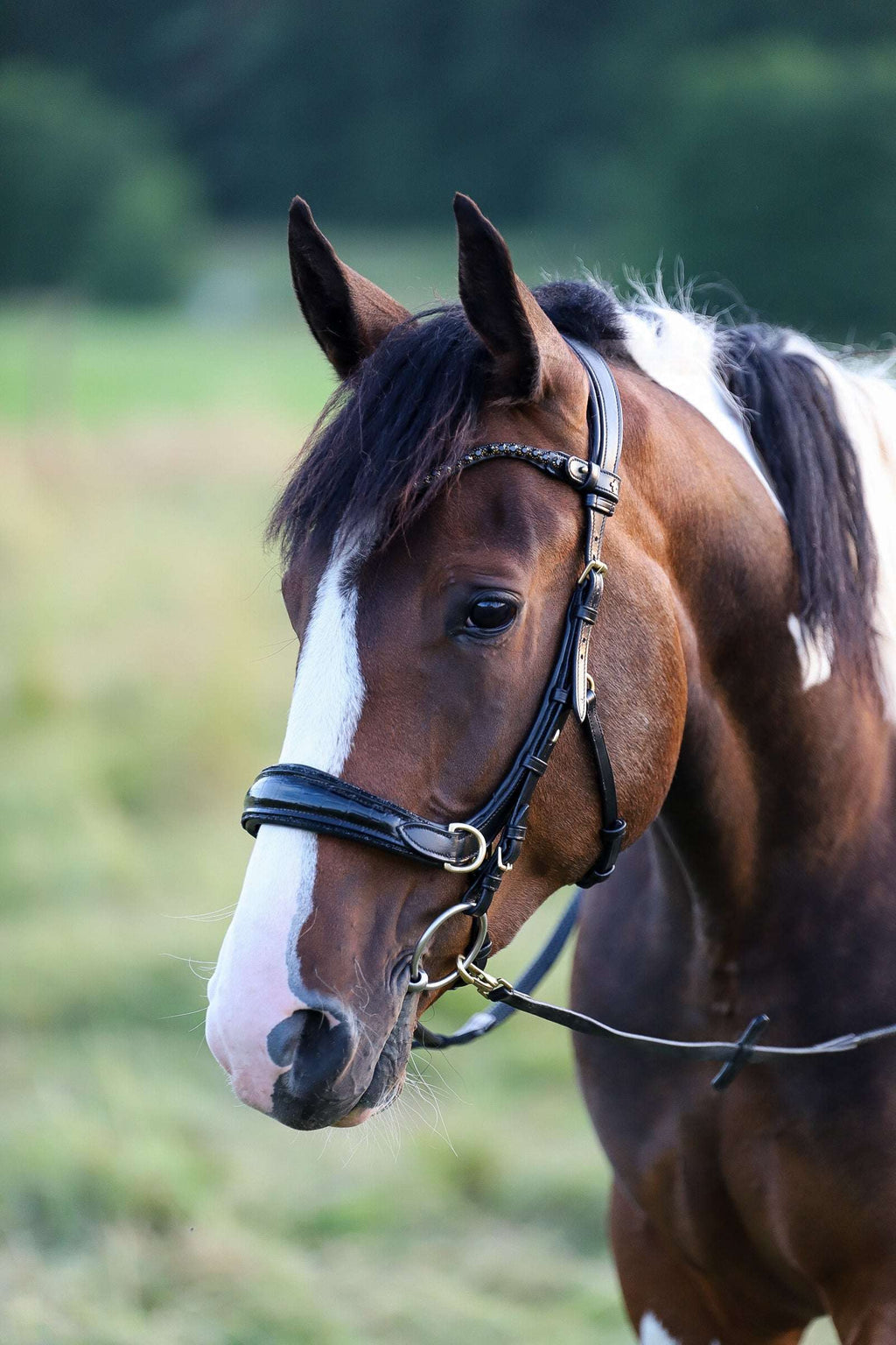 NEW 🖤🤎 Nia Multi Bridle - Bit to bitless system no.1