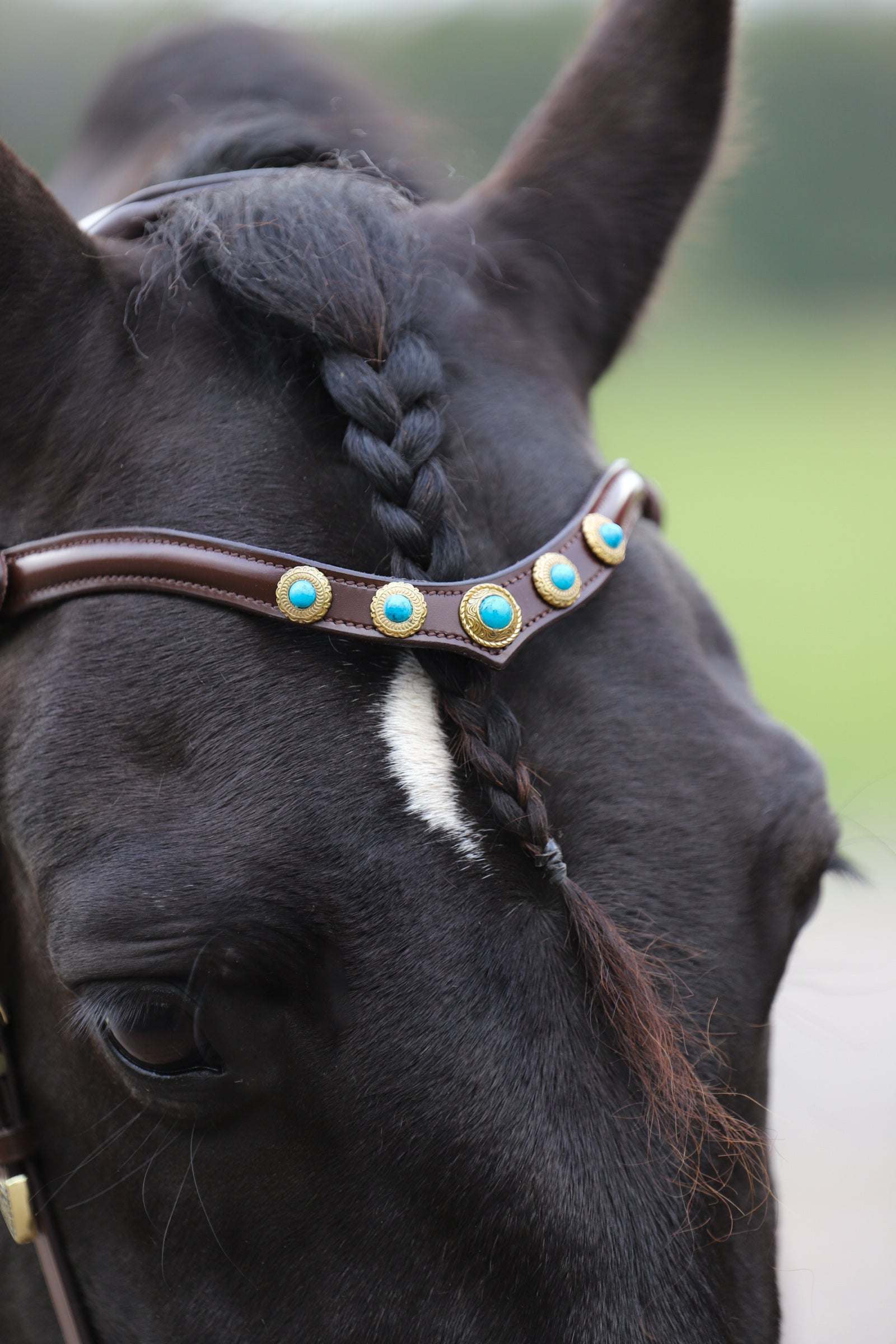 Dakota browband