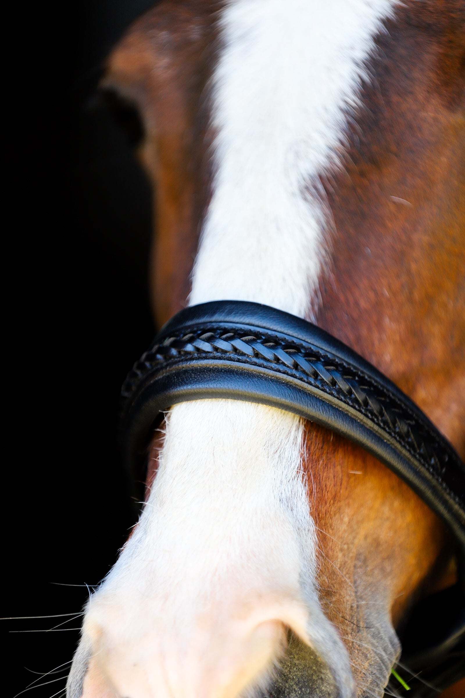 Elsa sidepull noseband
