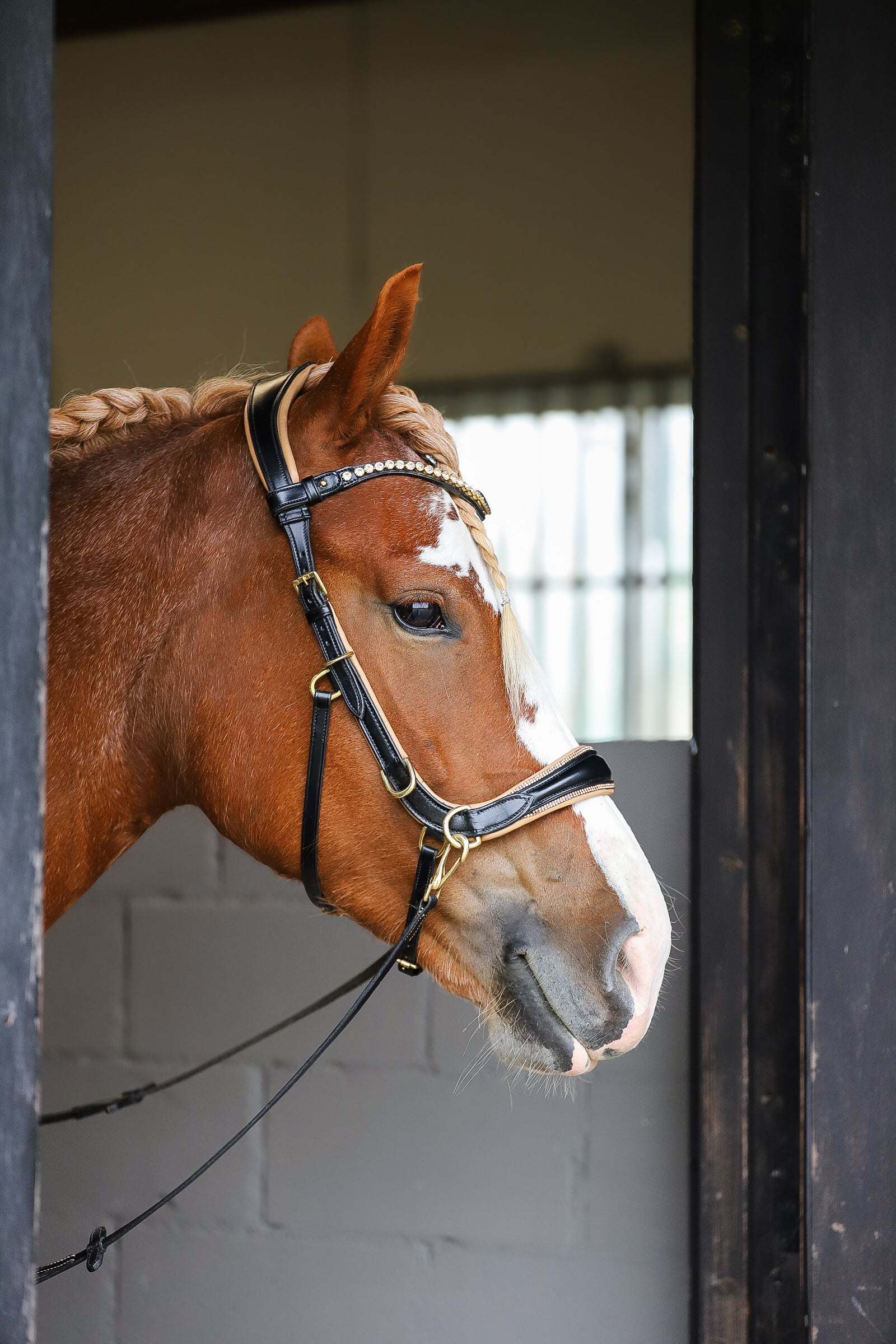 Spiritandhiscrew X MASEGO Multi bridle, bit to bitless system no.2