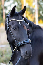 Load image into Gallery viewer, Dova sparkling sidepull bridle in Italian leather with glitter-trimmed patent noseband for bitless riding
