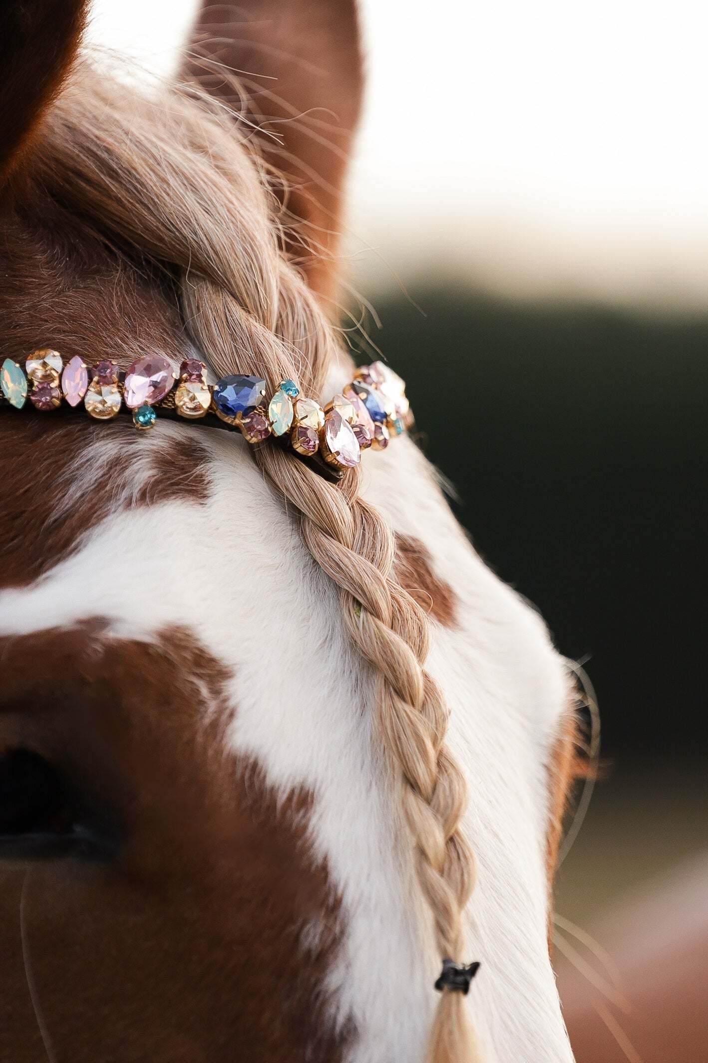 Pastel Royal Italian leather browband with rose, mint, gold, and blue crystals on horse's head.