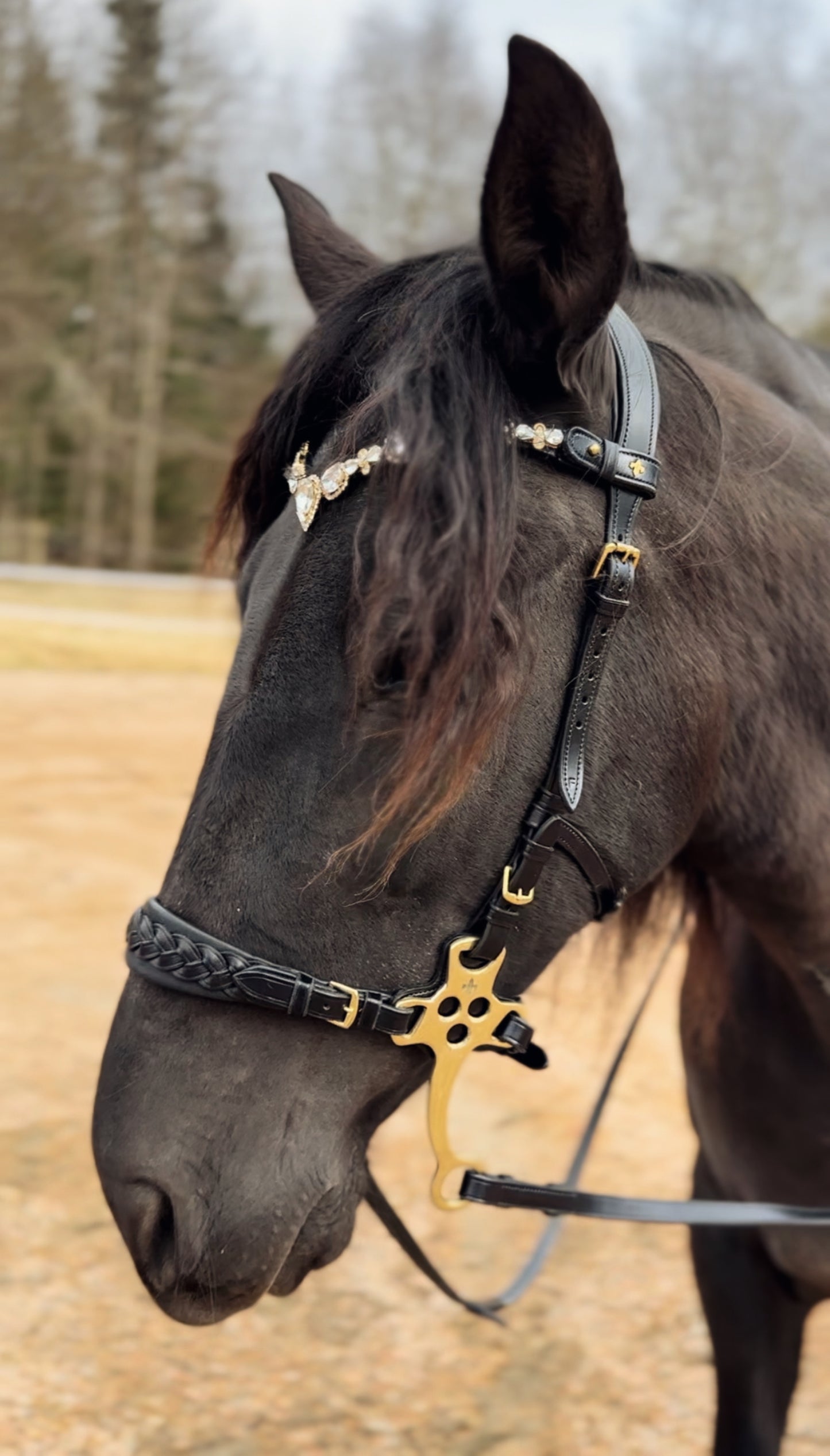 Stardust browband