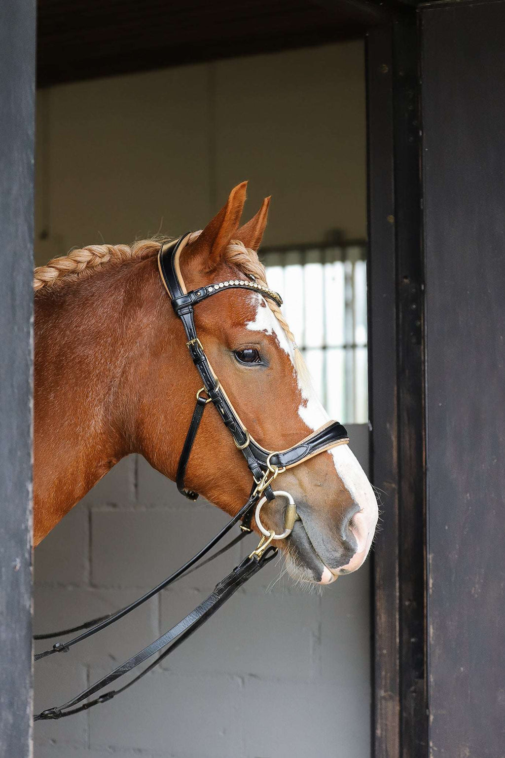 Spiritandhiscrew X MASEGO Multi bridle, bit to bitless system no.2