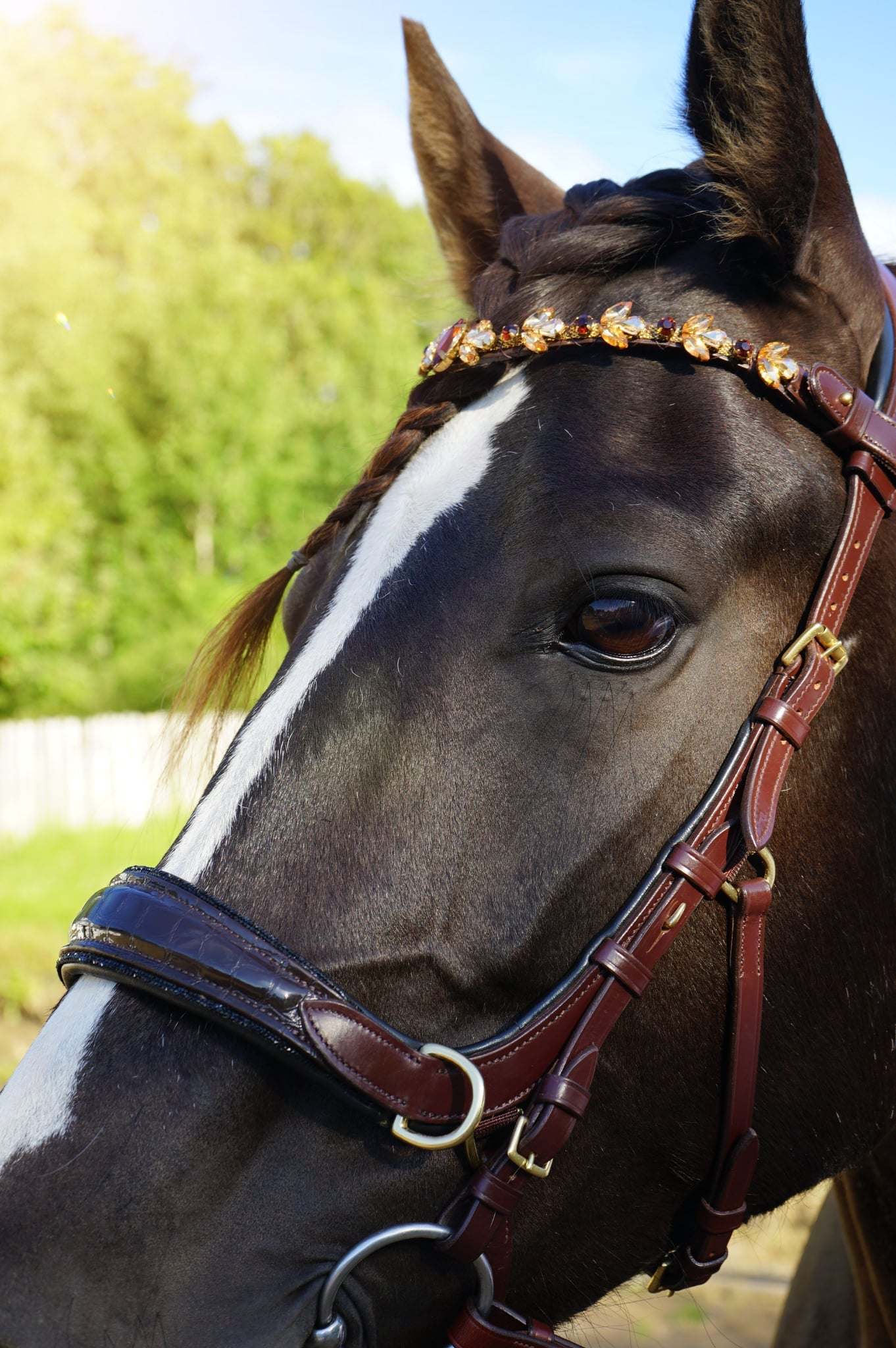 NEW 🖤🤎 Nia Multi Bridle - Bit to bitless system no.1