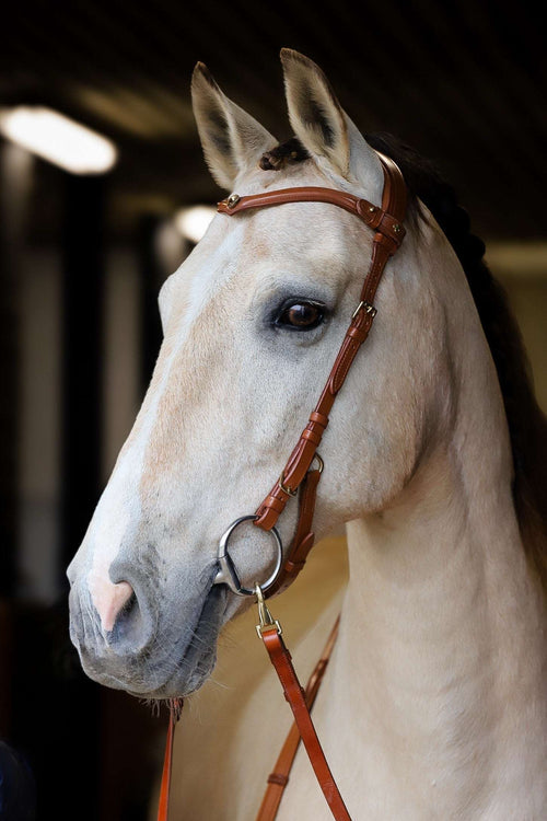 Coco Bridle elegant no-noseband Italian leather horse bridle with padded neckpiece and brass hardware