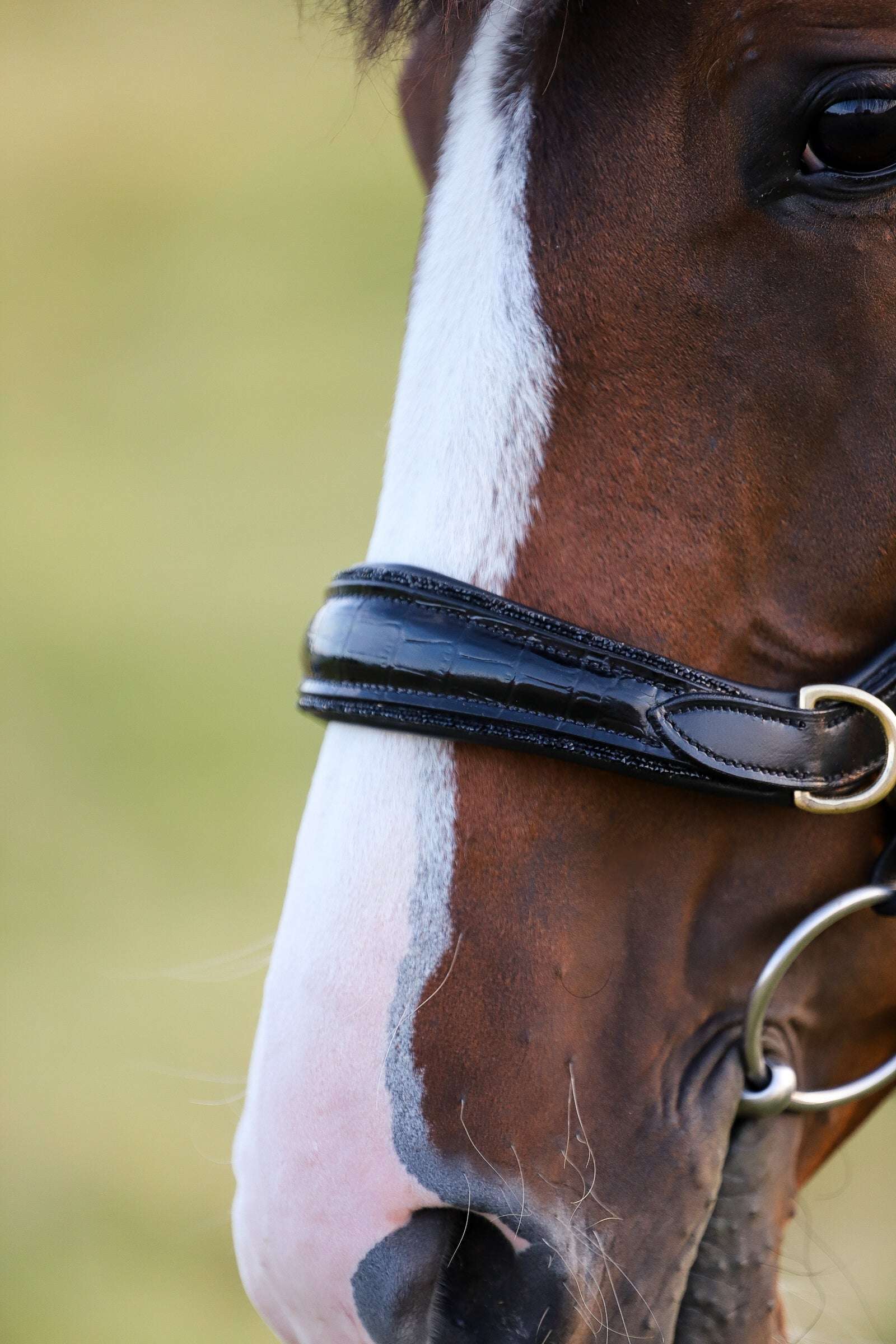 NEW 🖤🤎 Nia Multi Bridle - Bit to bitless system no.1