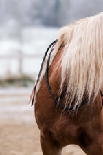 Load image into Gallery viewer, Onyx neckrope adjustable black nylon and cognac leather horse neckrope
