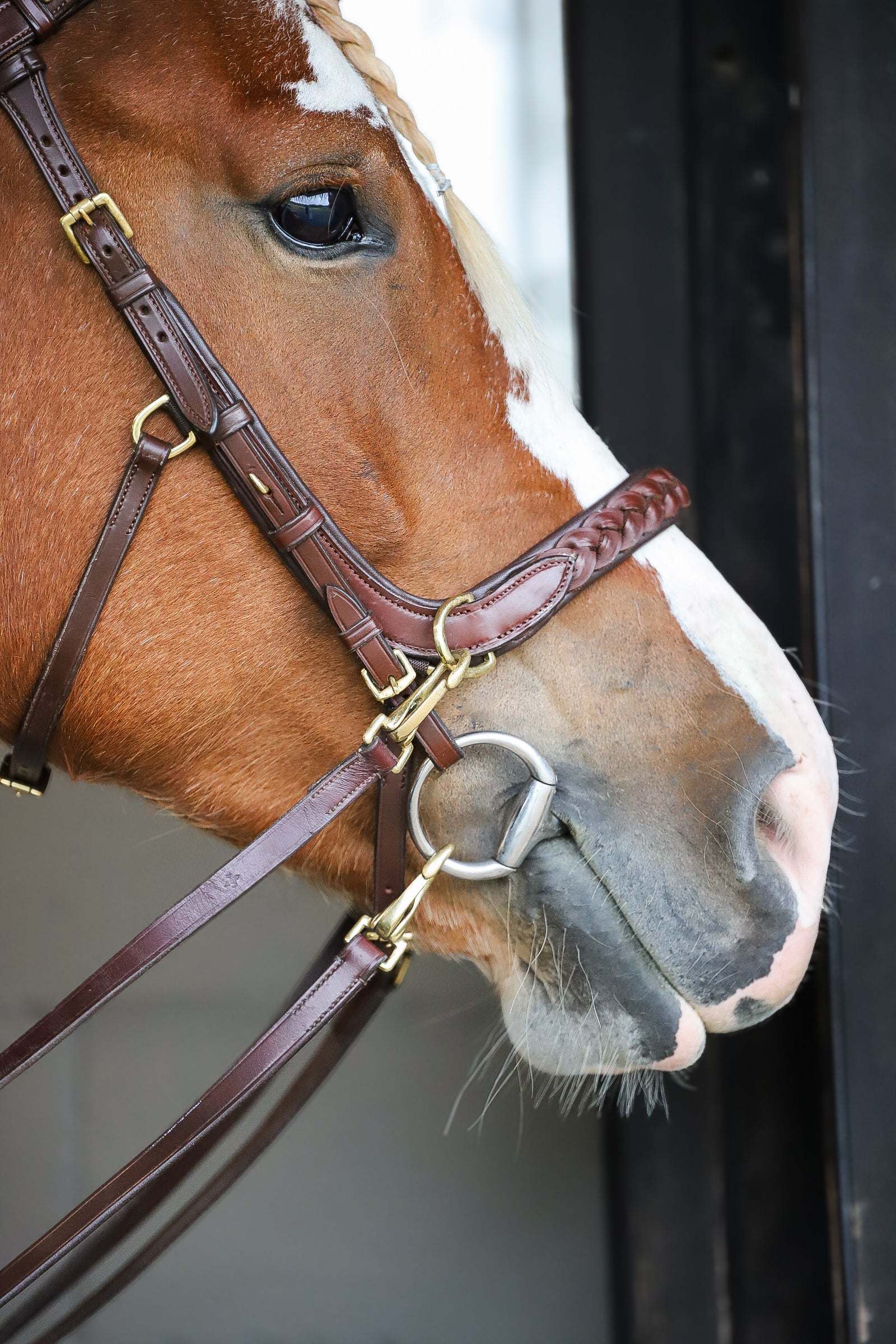 Odessa bonita Multi Bridle padded, bit to bitless system no.1