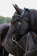 Elsa bridle portrait with scenic background