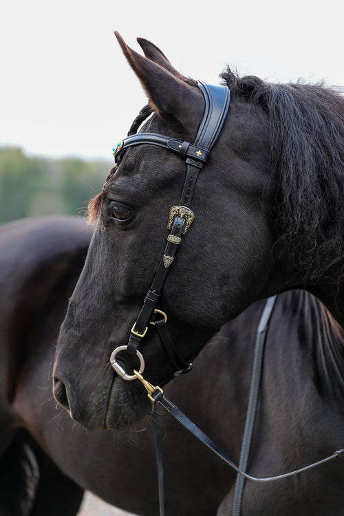 Elsa bridle portrait with scenic background