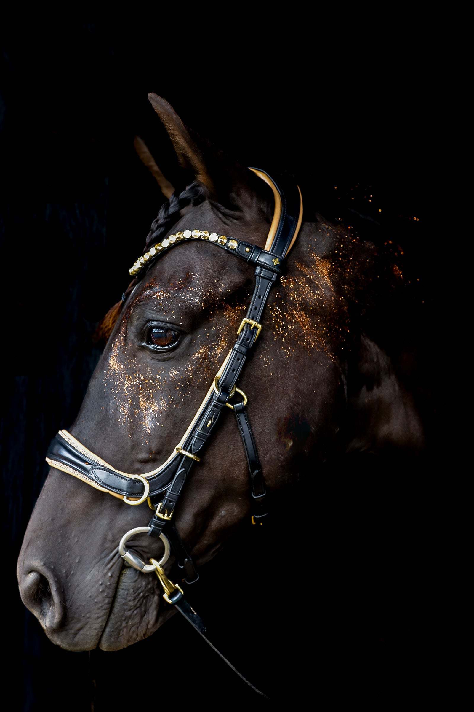 Spiritandhiscrew X MASEGO elegant multi-function horse bridle in soft Italian leather with gold crystal browband and glitter detail