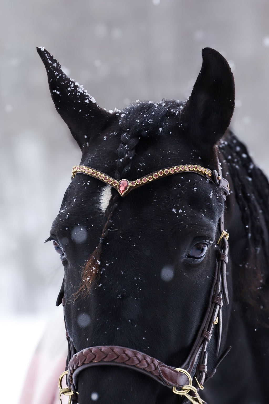 Golden Burgundy Browband on premium Italian leather bridle with large center crystal