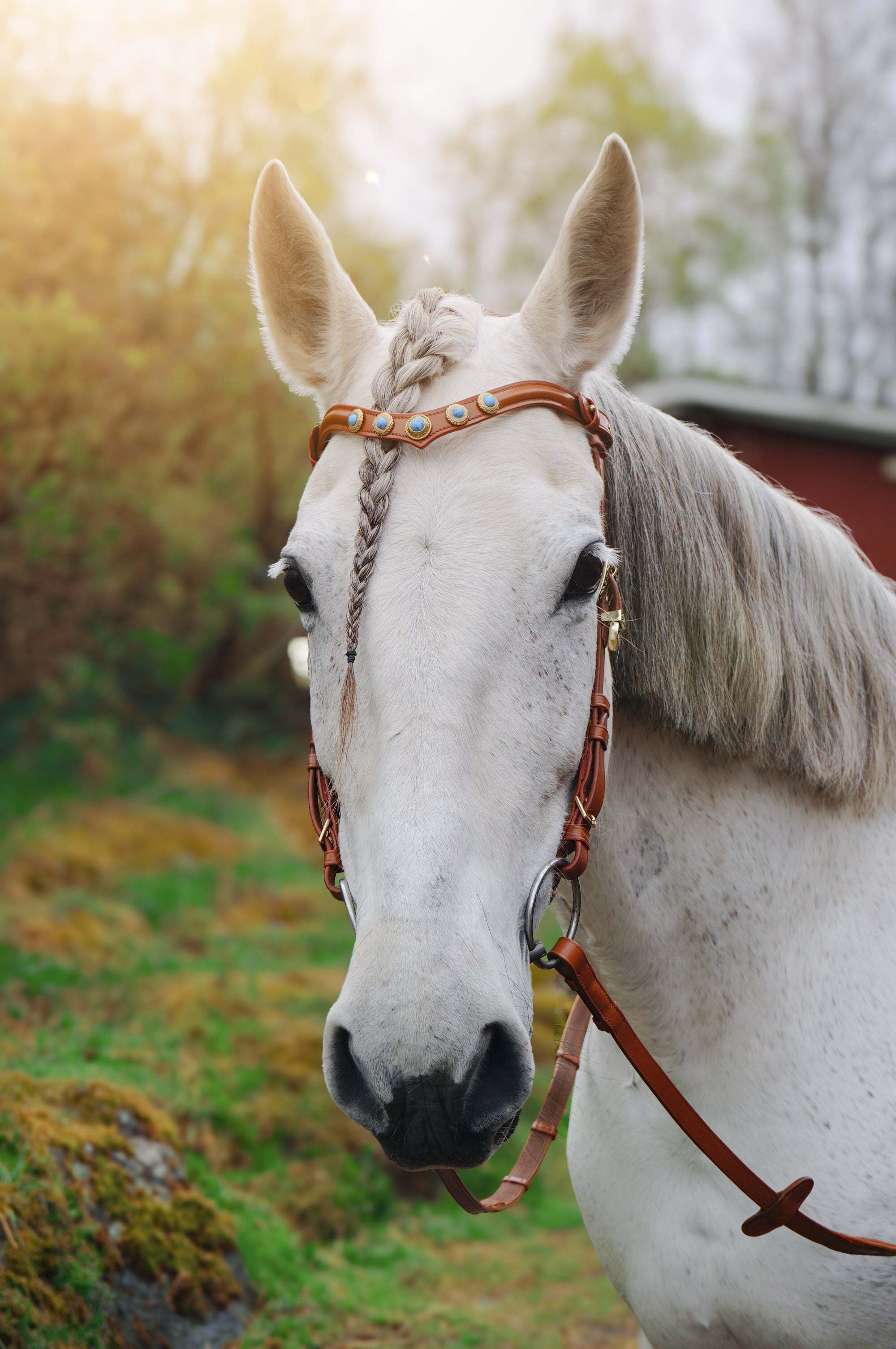 Ella bridle