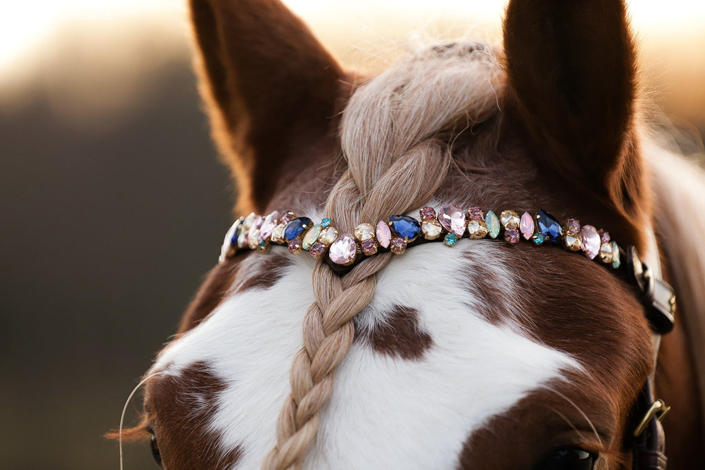 Horse wearing Pastel Royal Italian leather browband with rose, mint, gold, and deep blue crystals