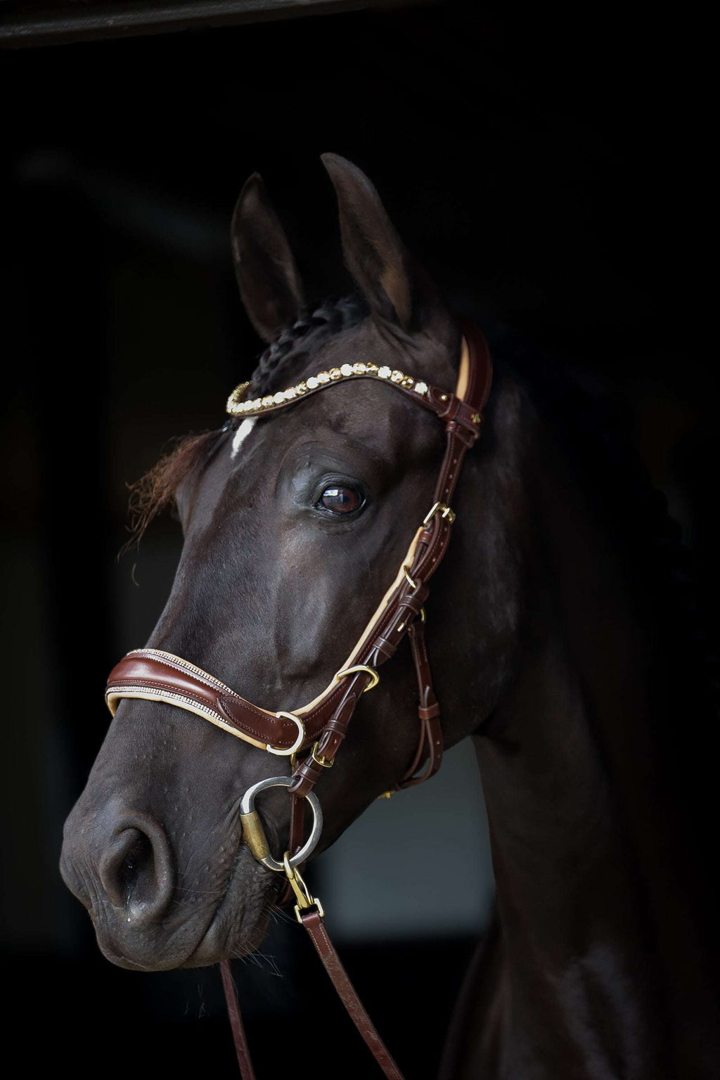 Spiritandhiscrew X MASEGO elegant multi-function bitless bridle in soft premium Italian leather with crystal browband on black horse