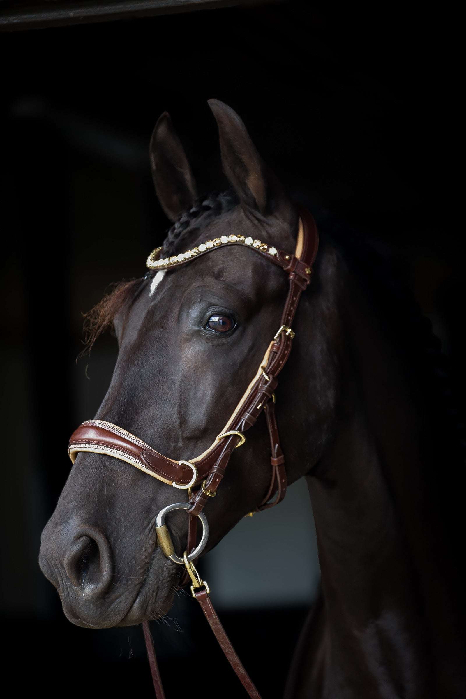 Spiritandhiscrew X MASEGO elegant multi-function bitless bridle in soft premium Italian leather with crystal browband on black horse