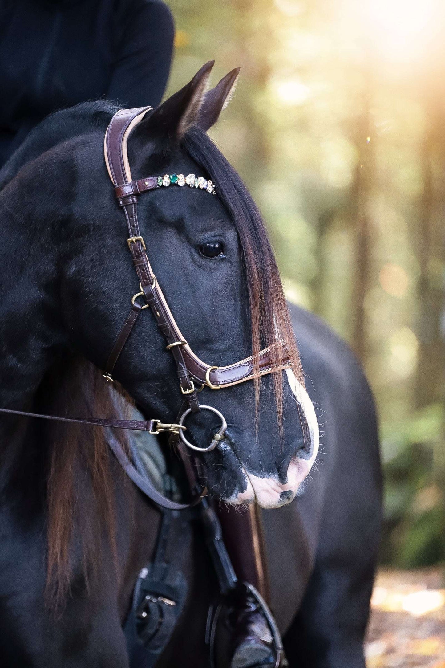 Spiritandhiscrew X MASEGO elegant multi-function bit to bitless bridle on black horse in outdoor setting