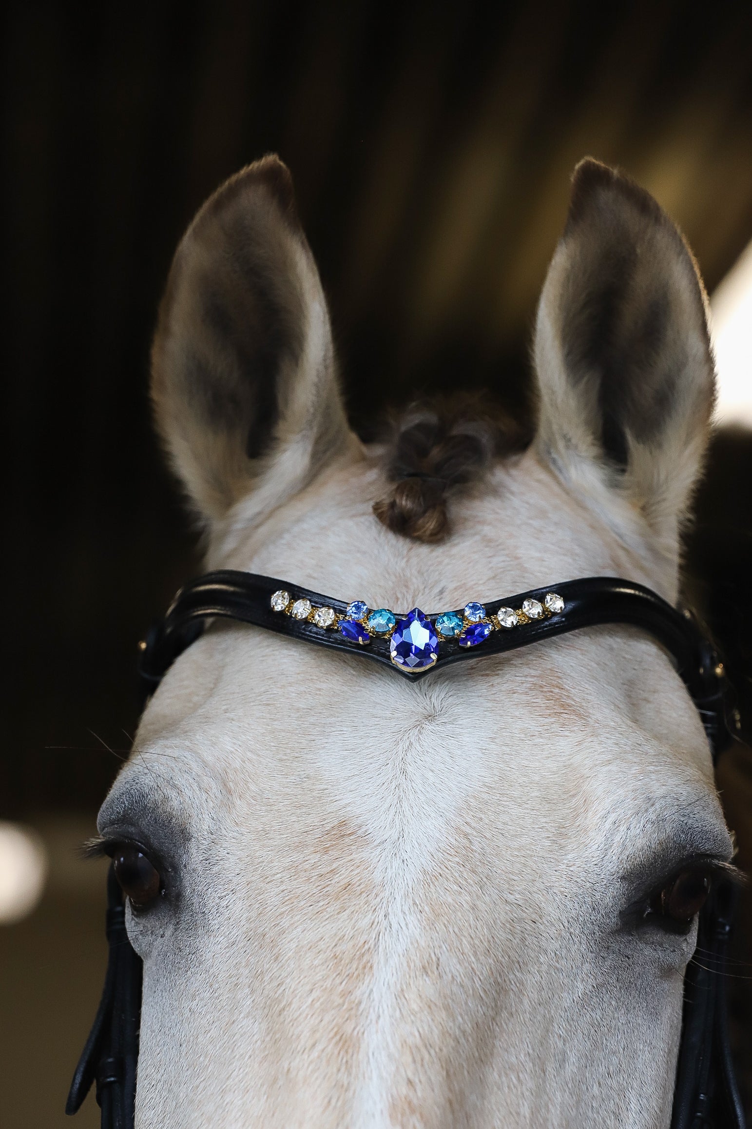 Close-up of horse wearing black bridle with indigo starling blue gemstone decoration