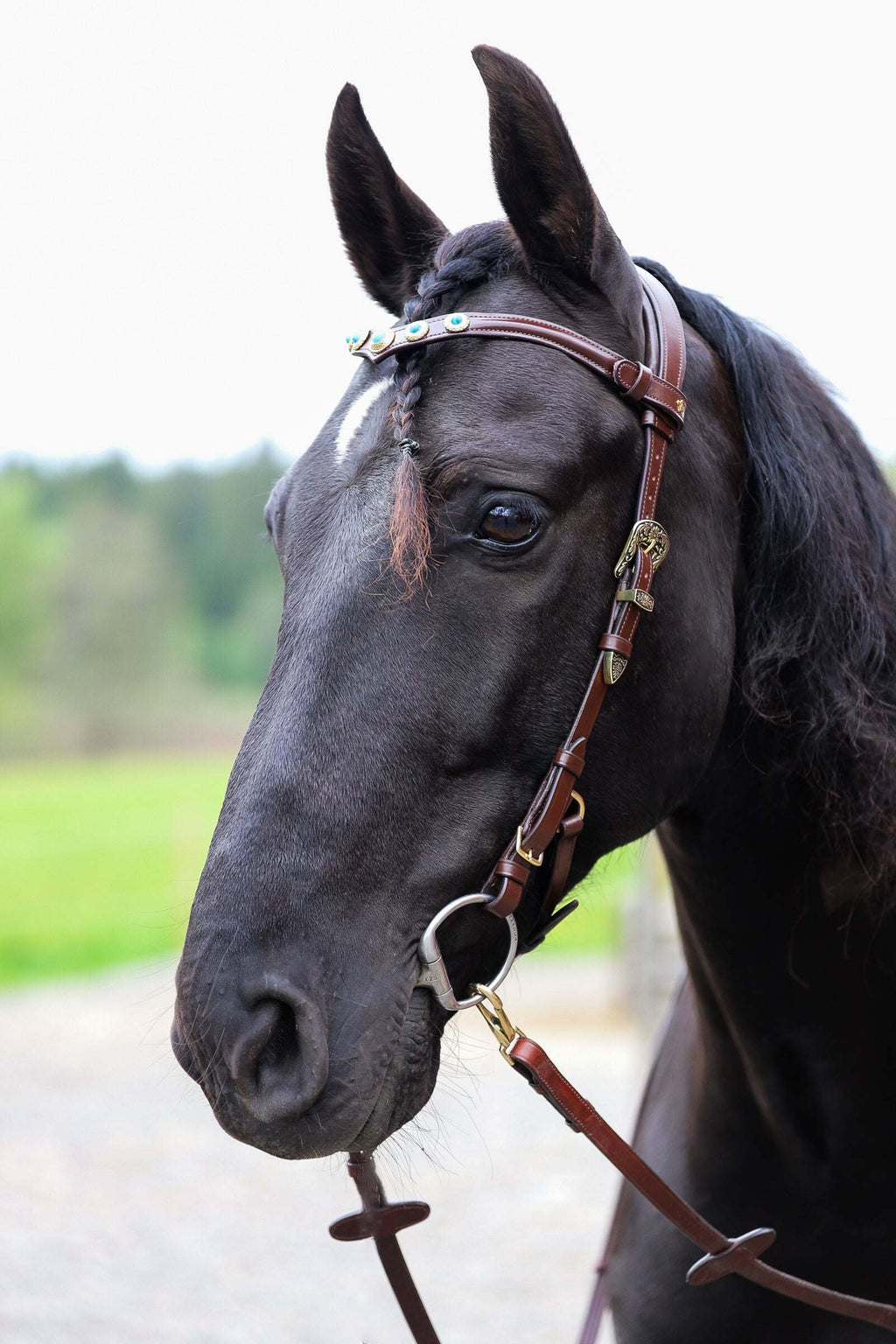 Ella bridle