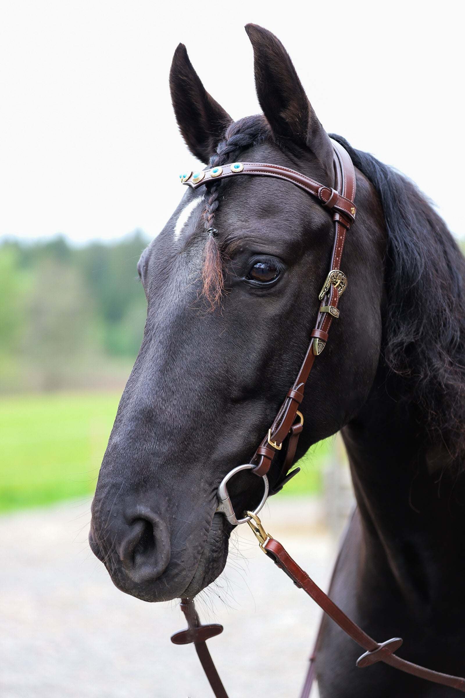 Ella bridle