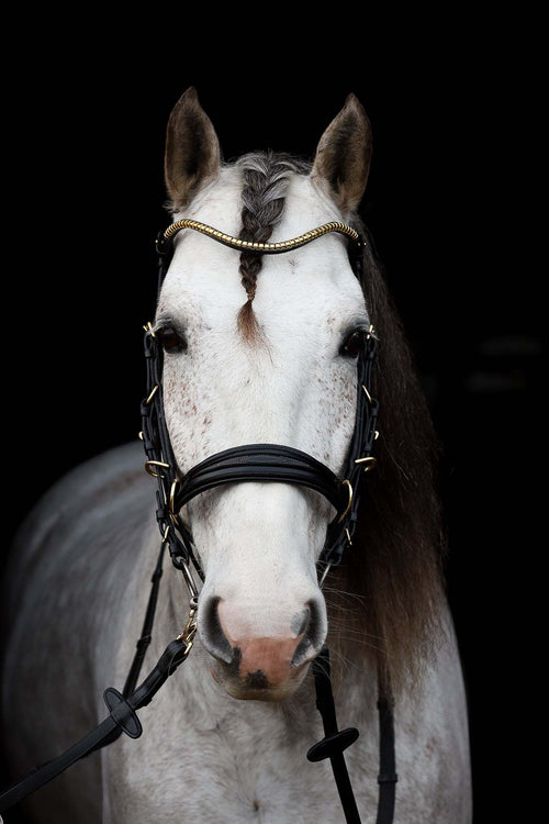 Oliander Multi bridle no.2 bit to bitless conversion close-up