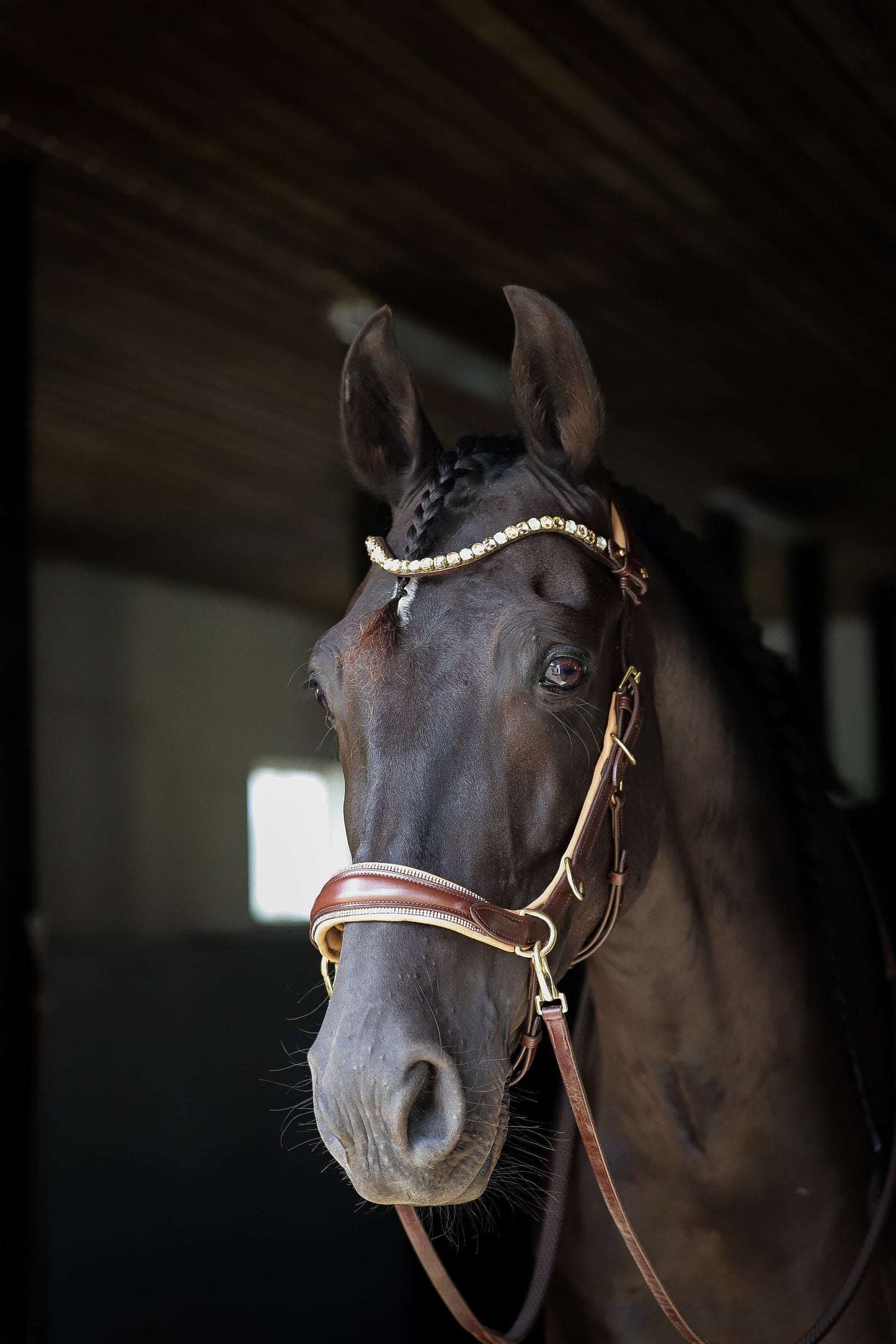 Spiritandhiscrew X MASEGO bit to bitless Multi bridle