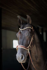 Load image into Gallery viewer, Elegant Spiritandhiscrew X MASEGO bit to bitless multi-function horse bridle in soft Italian leather with beige padding and crystal browband.
