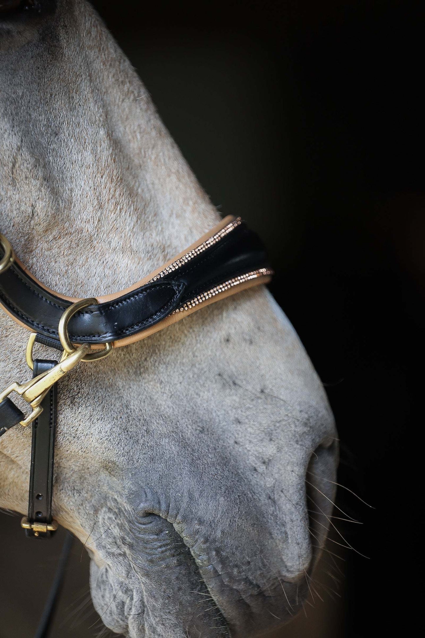 Spiritandhiscrew X MASEGO bit to bitless Multi bridle