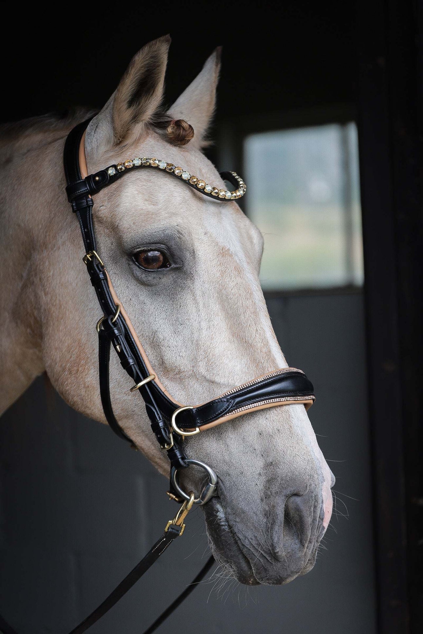 Spiritandhiscrew X MASEGO bit to bitless Multi bridle