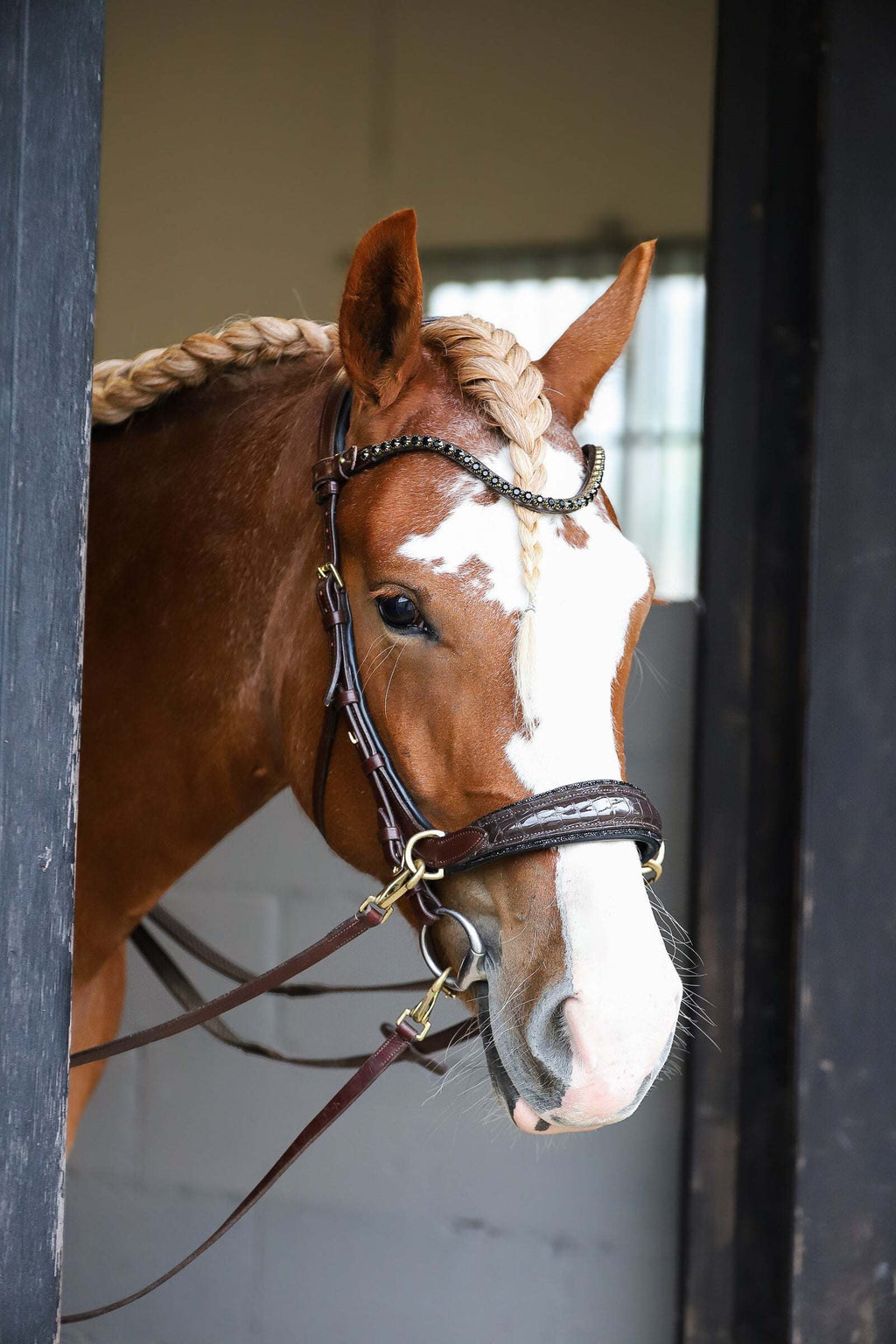 Nia Multi Bridle - Bit to bitless system no.1