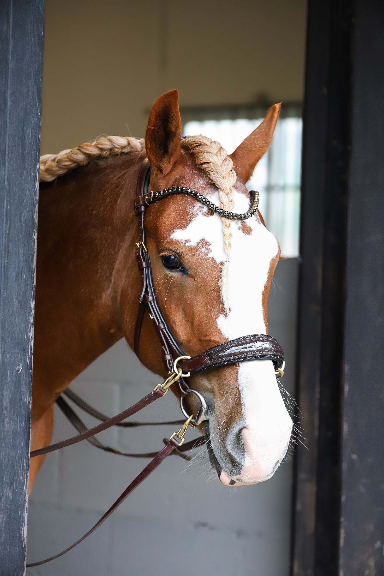 Nia Multi Bridle - Bit to bitless system no.1
