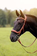 Load image into Gallery viewer, Oliander Multi Bridle on a horse, high-quality Italian leather with soft padding and brass hardware in cognac color
