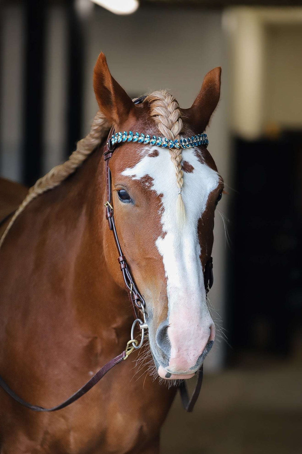 Coco bridle