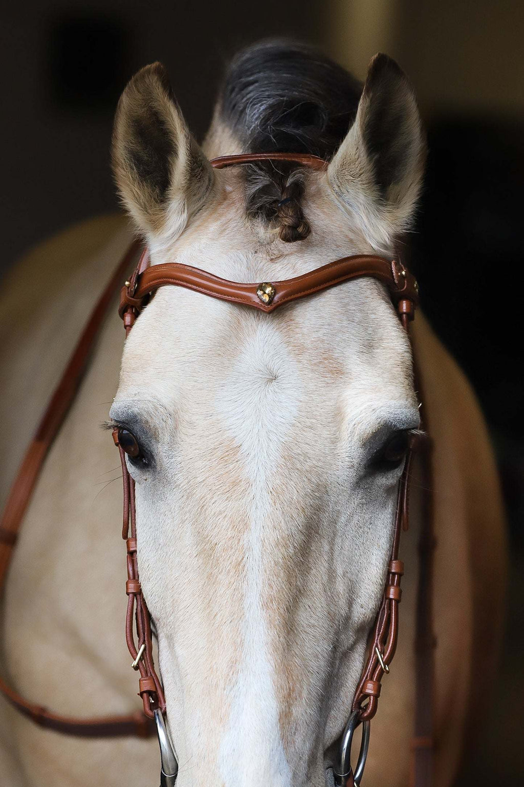 Stella browband Italian leather with golden and grey crystals, brass details, pony to x-full size