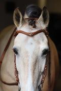 Stella browband Italian leather with golden and grey crystals, brass details, pony to x-full size