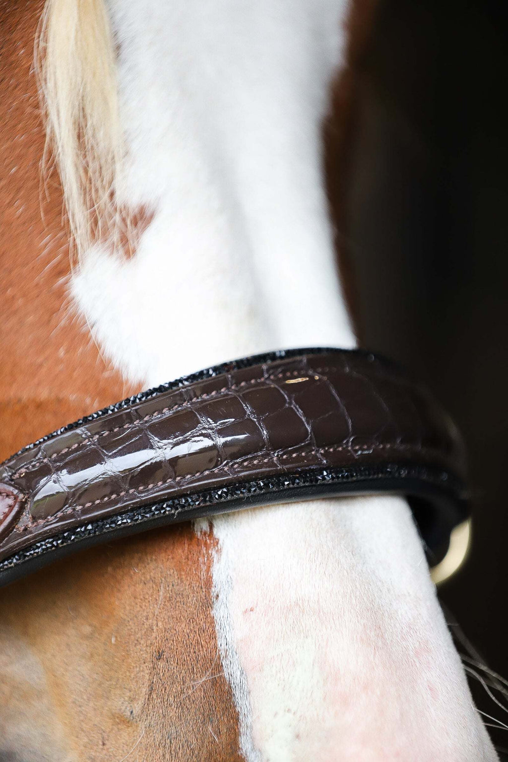 Nia Multi Bridle - Bit to bitless system no.1
