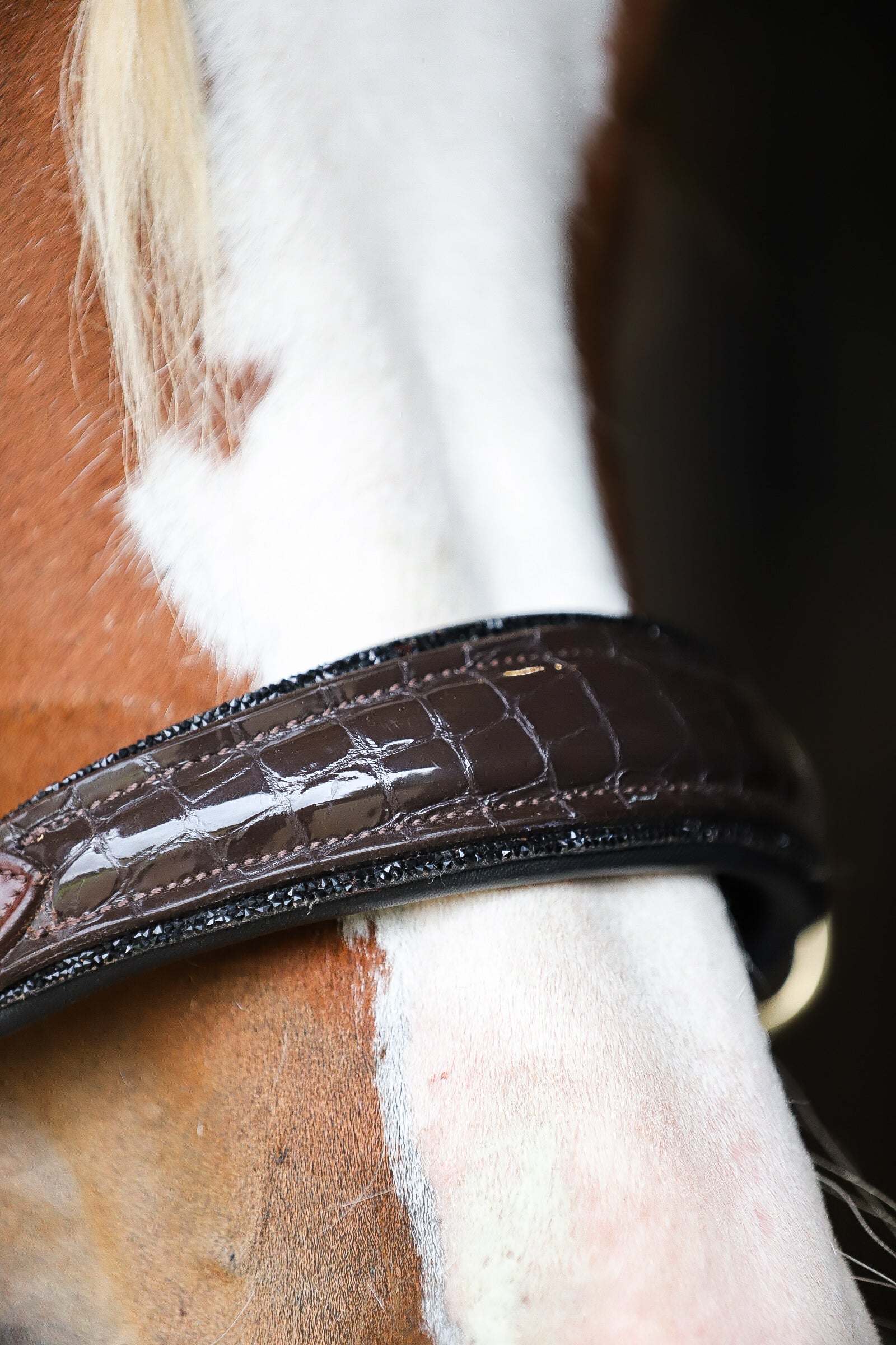 Nia Multi Bridle - Bit to bitless system no.1
