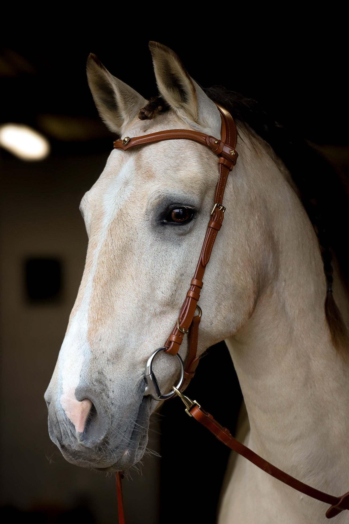 Stella browband