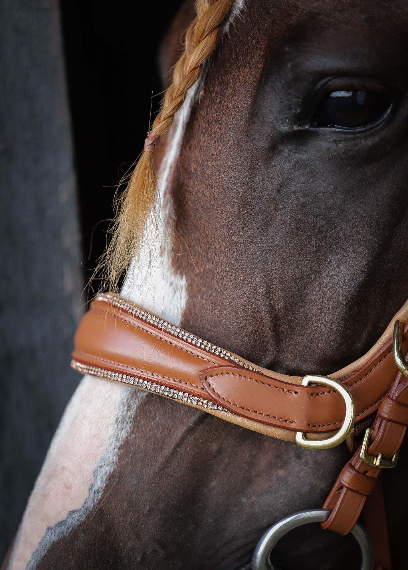 Spiritandhiscrew X MASEGO bit to bitless Multi bridle