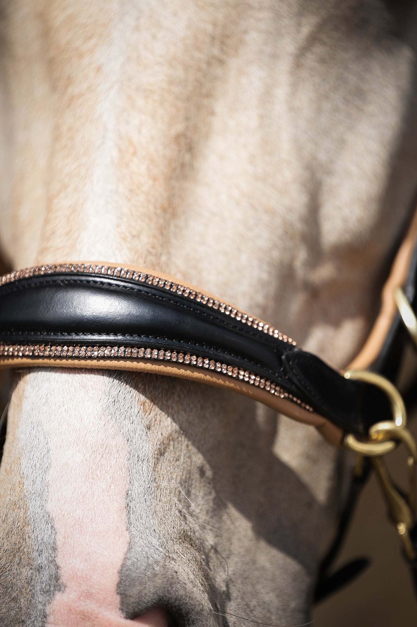 Spiritandhiscrew X MASEGO bit to bitless Multi bridle