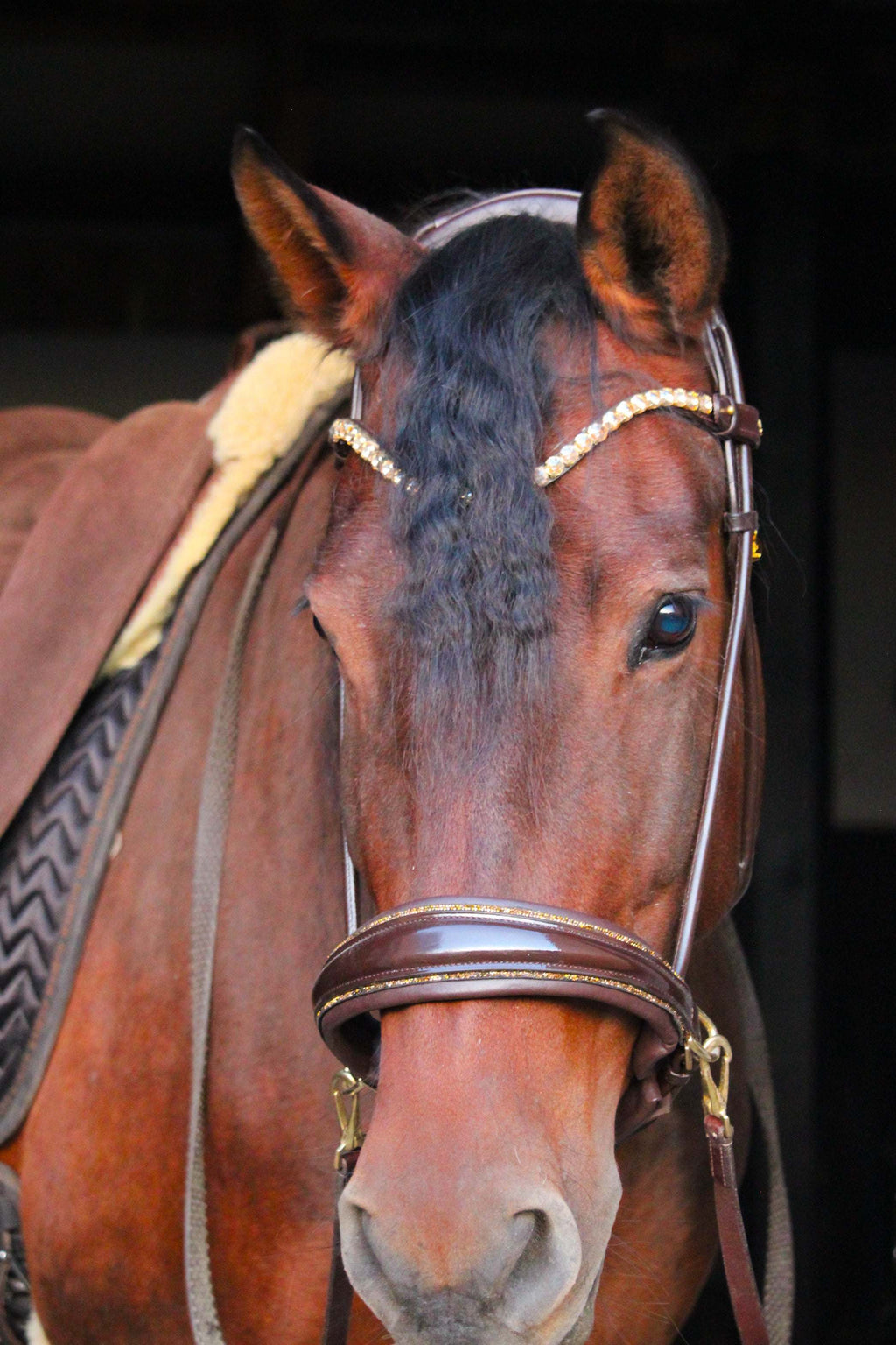 Dova sparkling sidepull